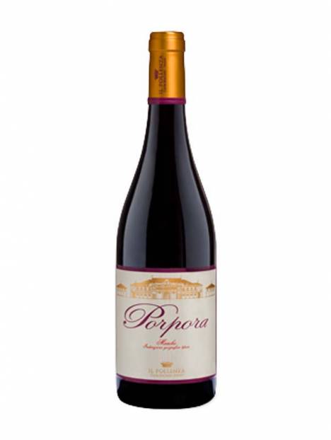 Sale of red purple wine IGT Marche Il Pollenza