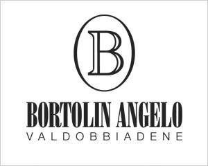 Bortolin Angelo